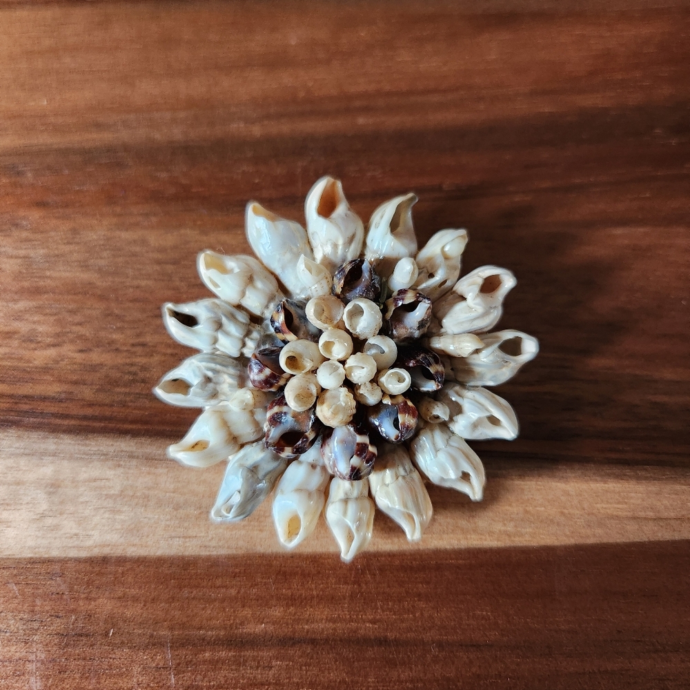 Seashell Brooch Beach Ocean Jewelry